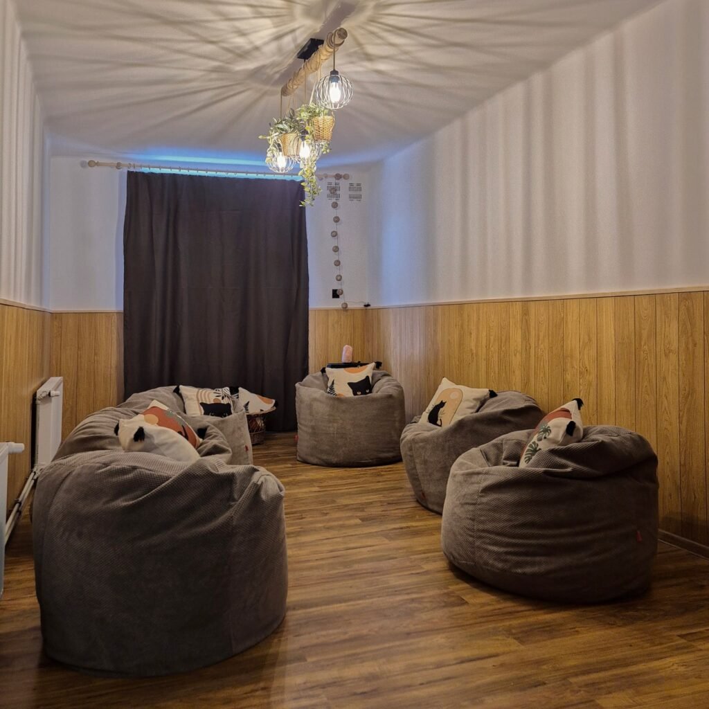Sala reset– Warsztaty kreatywne Przytulna sala z wygodnymi pufami, nastrojowym oświetleniem i drewnianymi akcentami, idealna na warsztaty kreatywne lub sesje medytacji w Krakowie.